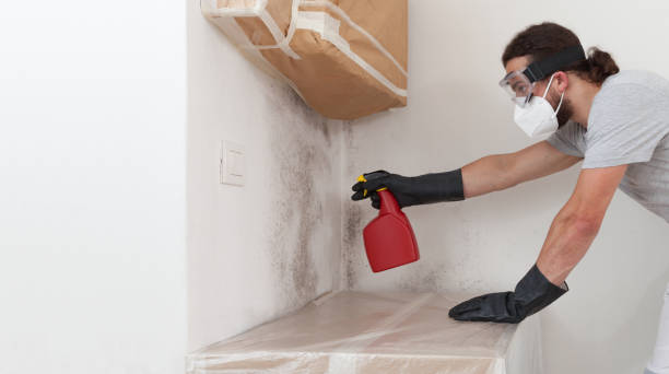 Professional Mold Inspection And Testing technician working in Metuchen, NJ